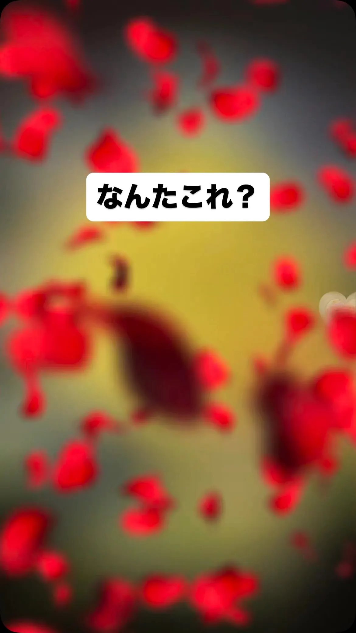 店主は納豆が好きなのか